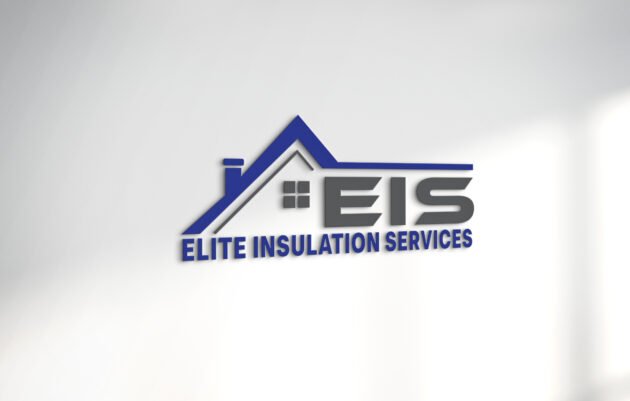 EIS logo mockup